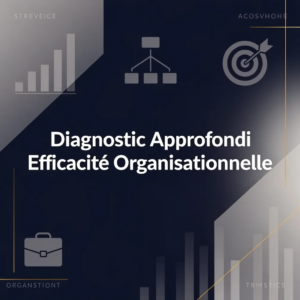 Diagnostic Approfondi Efficacité Organisationnelle