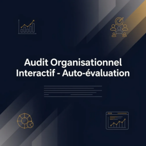 Audit Organisationnel Interactif - Auto-évaluation