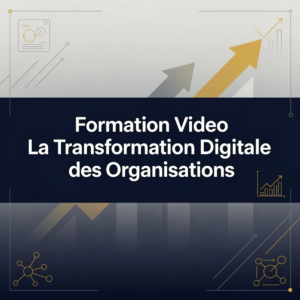 Formation Video La Transformation Digitale des Organisations